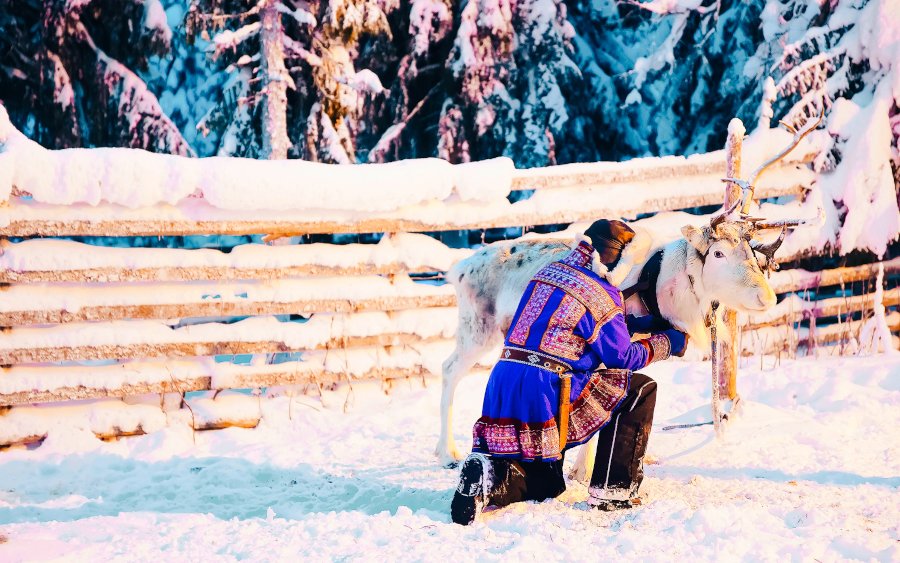 Sami cultuur in Finland